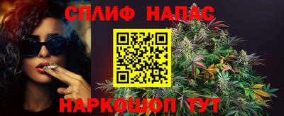 дмт Моздок