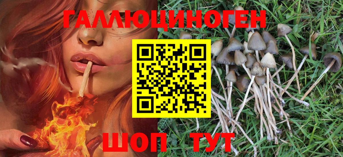 Псилоцибиновые грибы MAGIC MUSHROOMS  Вход с VPN  Урай 
