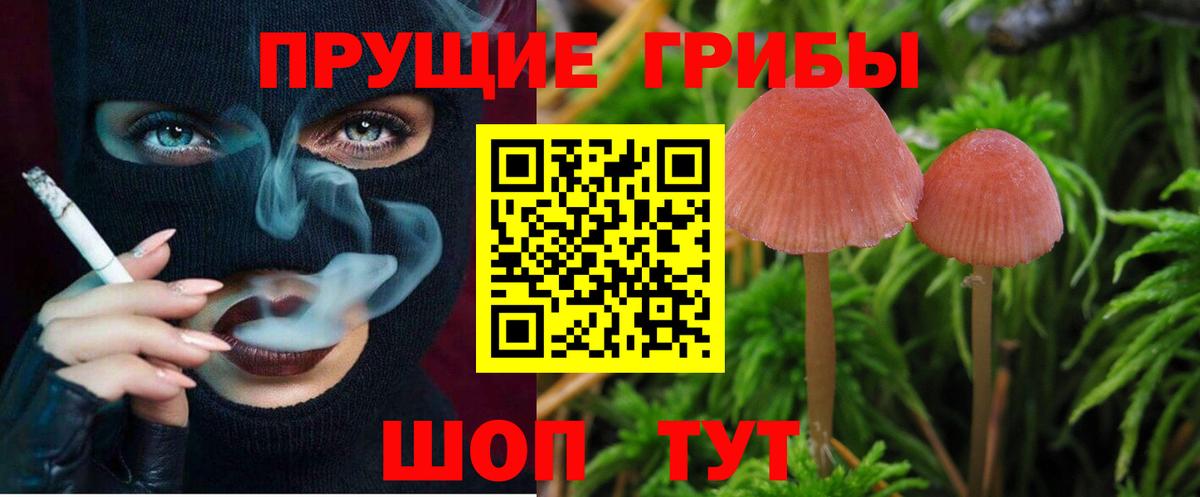Псилоцибиновые грибы MAGIC MUSHROOMS Урай